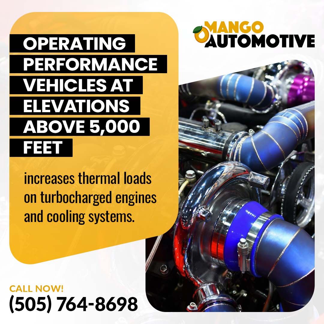 Operating performance- Mango Autmotive (Downtown)