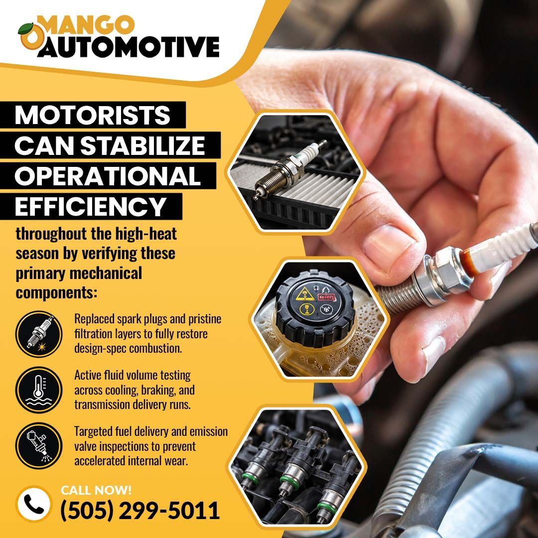 Stabilize Operational Efficiency- Mango Automotive (The Heights)