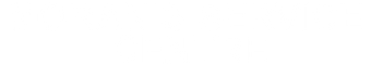 Logo Footer