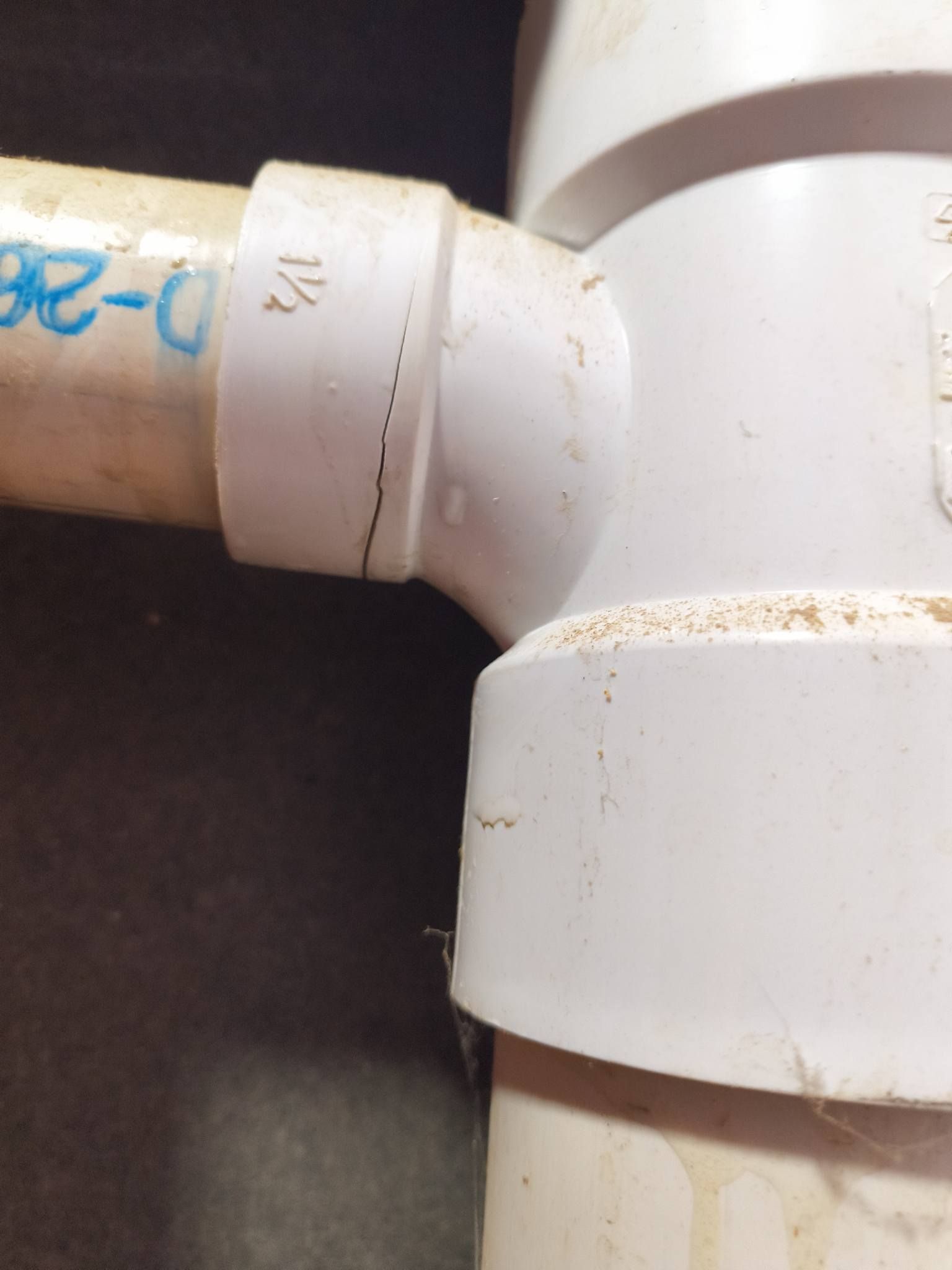 Close-up of white PVC pipe fitting connected to a beige pipe with blue markings.