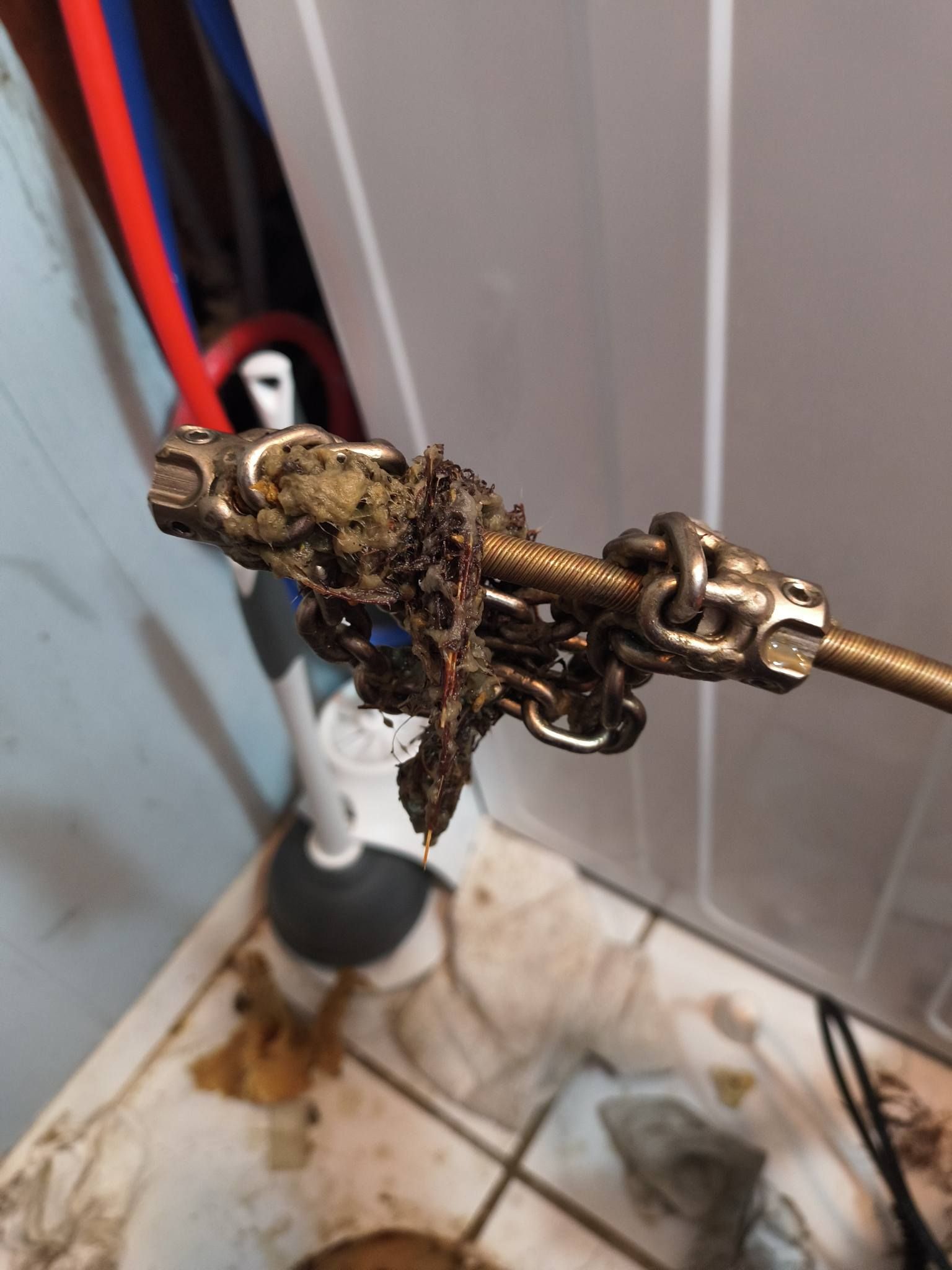 Gold ornate handle on a pipe or valve against a wall, with red and blue pipes behind it.