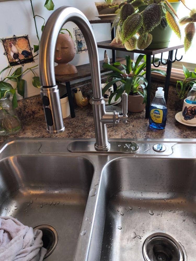 Kitchen sink with a tall chrome faucet, potted plants, and a soap bottle on the counter.