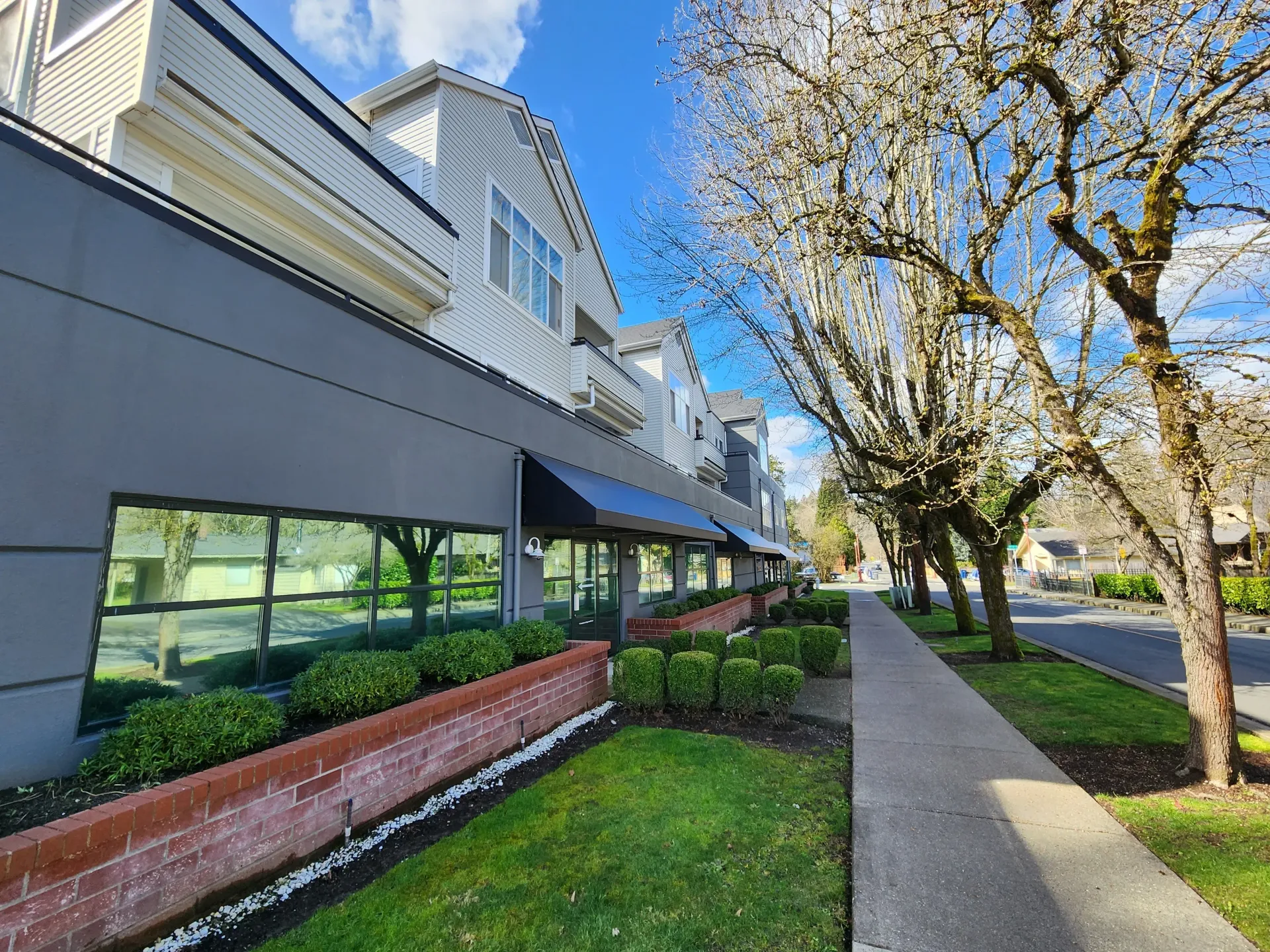 A modern building with a row of trees and sidewalk in front.