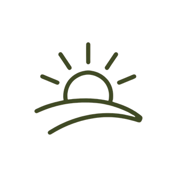 Simple line icon of a sunrise over a curved horizon in dark olive green