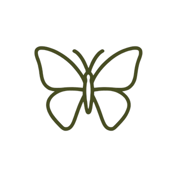 Simple olive-green butterfly outline on a white background