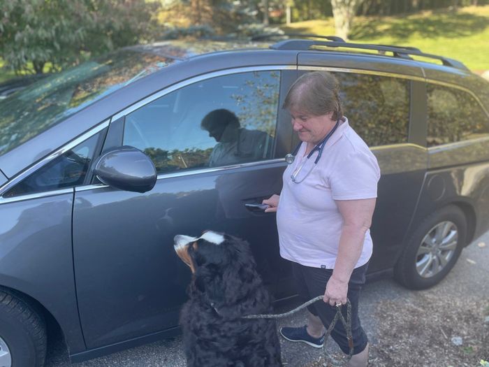 Cat and Corgi Dog Walking - Freetown, MA - Doctor Bonnie’s Pet House Calls