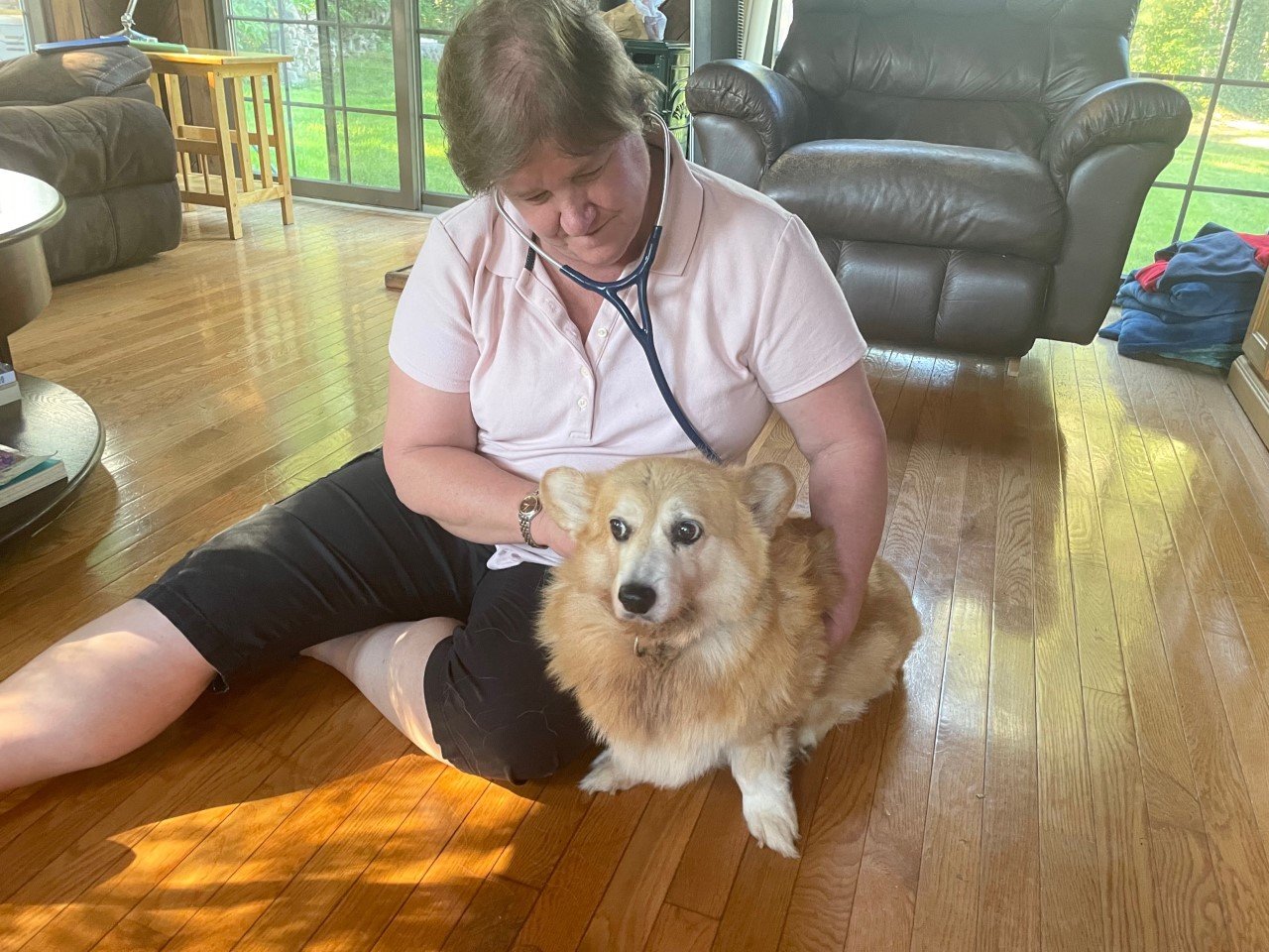 Mobile Veterinary Services Freetown, MA Doctor Bonnie’s Pet House Calls