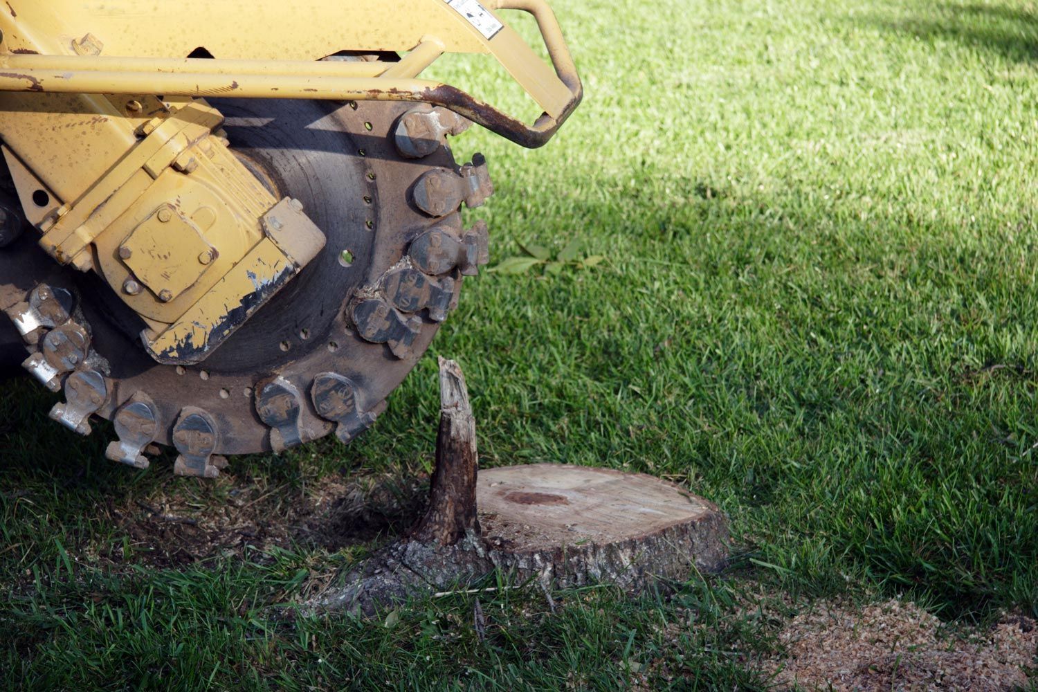Grinder And Stump — Calico Rock, AR — Affordable Stump & Lawn