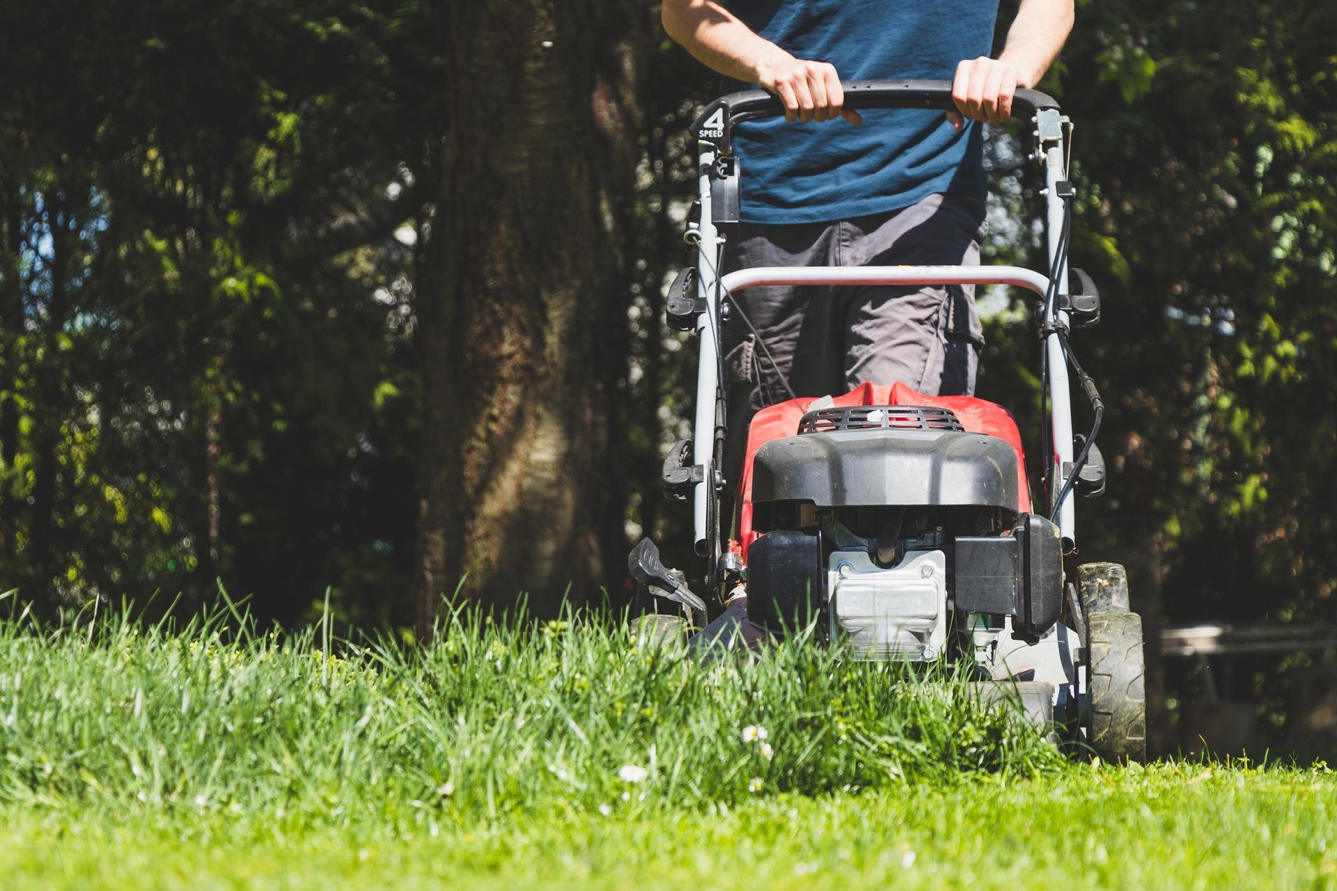 Man Mowing Lawn — Calico Rock, AR — Affordable Stump & Lawn