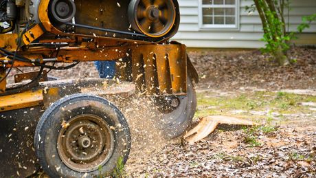 Removing A Stump — Calico Rock, AR — Affordable Stump & Lawn