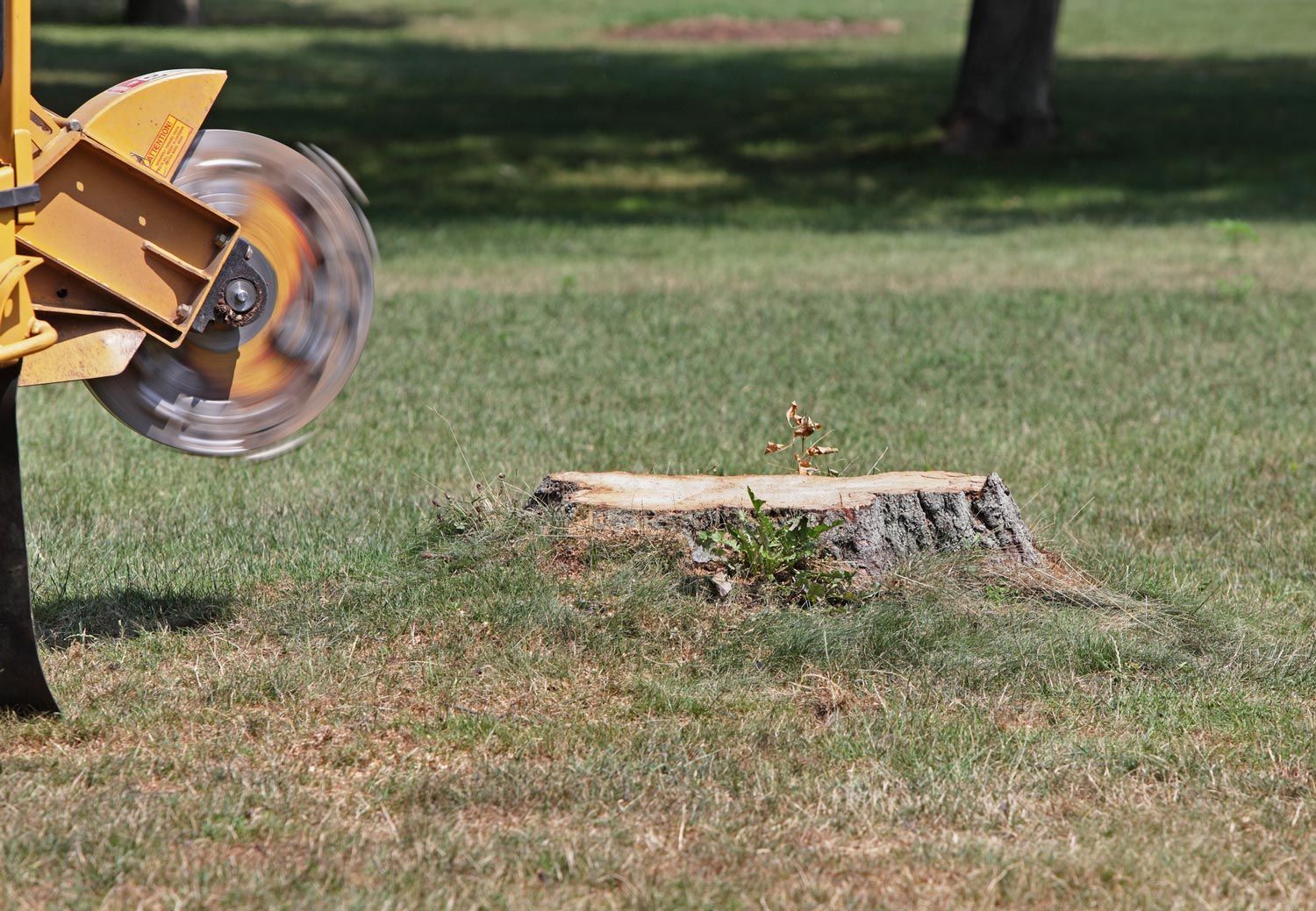 Spinning Tree Stump Cutter — Calico Rock, AR — Affordable Stump & Lawn Spinning Tree Stump Cutter — Calico Rock, AR — Affordable Stump & Lawn