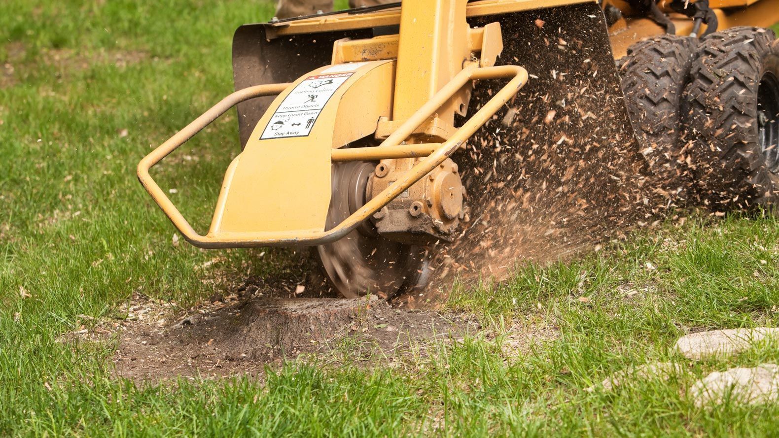 Grinding Tree Stump — Calico Rock, AR — Affordable Stump & Lawn Grinding Tree Stump — Calico Rock, AR — Affordable Stump & Lawn