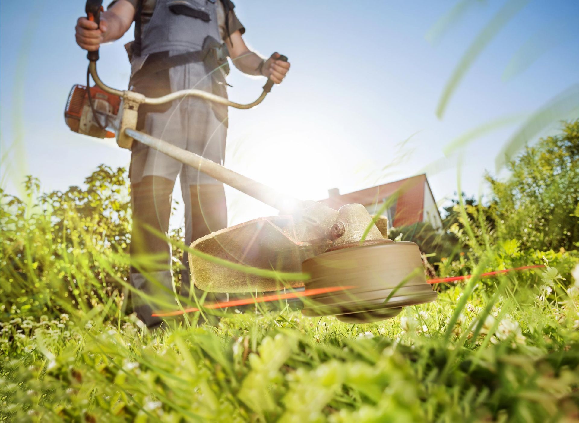 Grass Cutting — Calico Rock, AR — Affordable Stump & Lawn Grass Cutting — Calico Rock, AR — Affordable Stump & Lawn