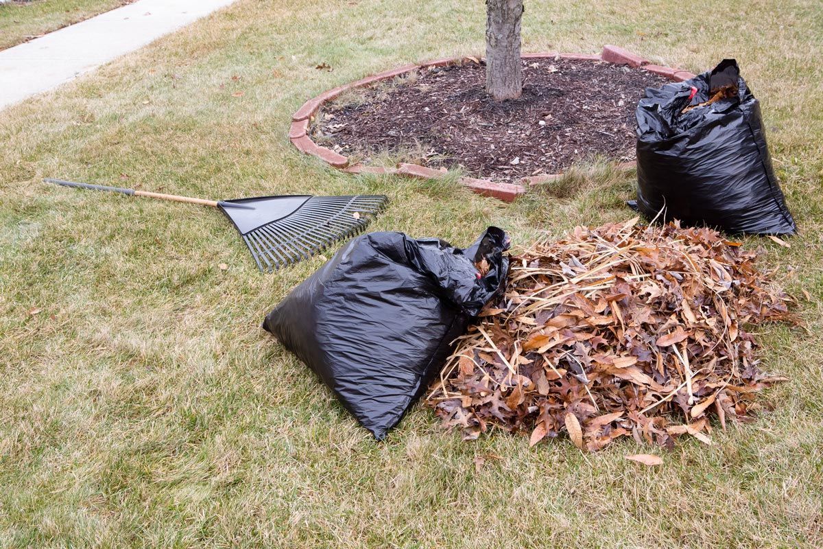 Clean-up — Calico Rock, AR — Affordable Stump & Lawn