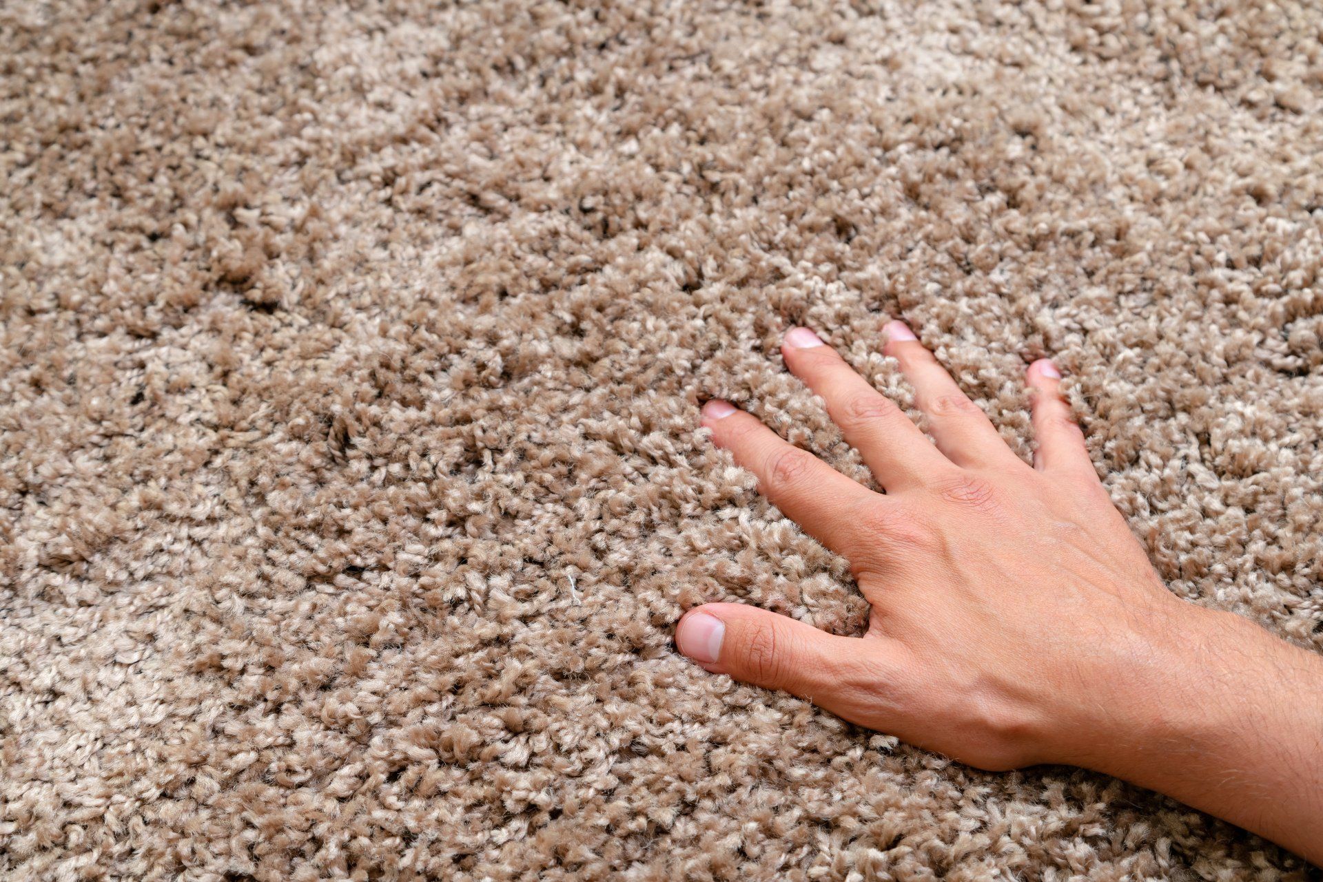 Hand pressing into beige shag carpet texture