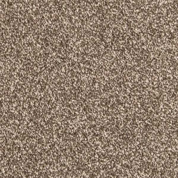 Close-up of a beige and brown speckled carpet texture