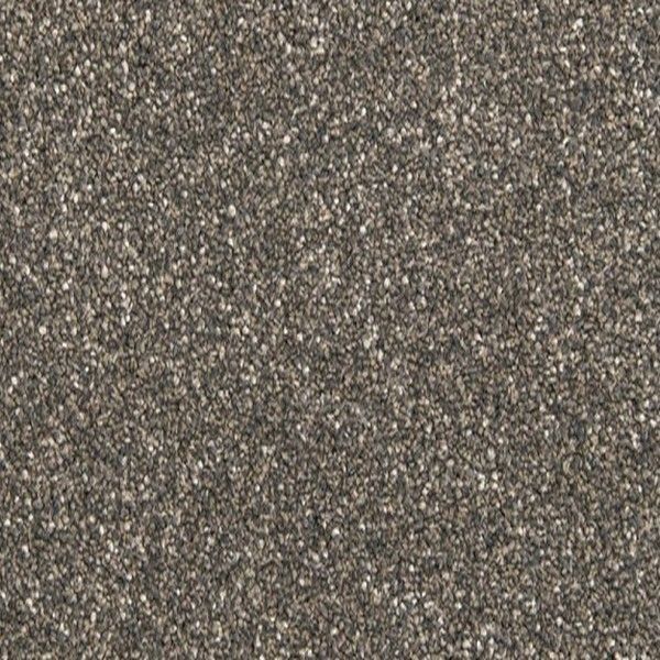 Close-up of rough gray-brown speckled textured surface