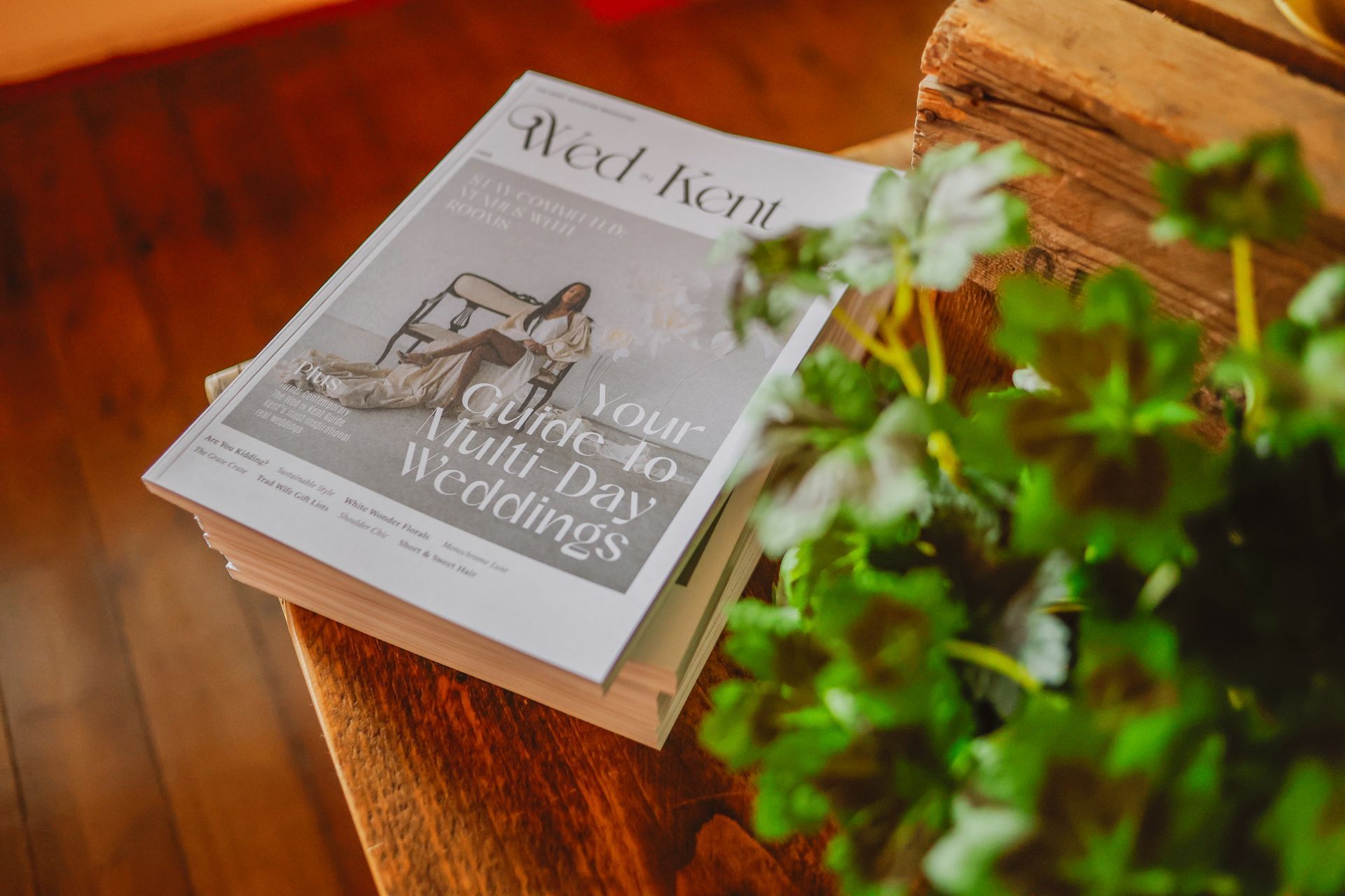 Stack of magazines on a wooden table beside a green plant.
