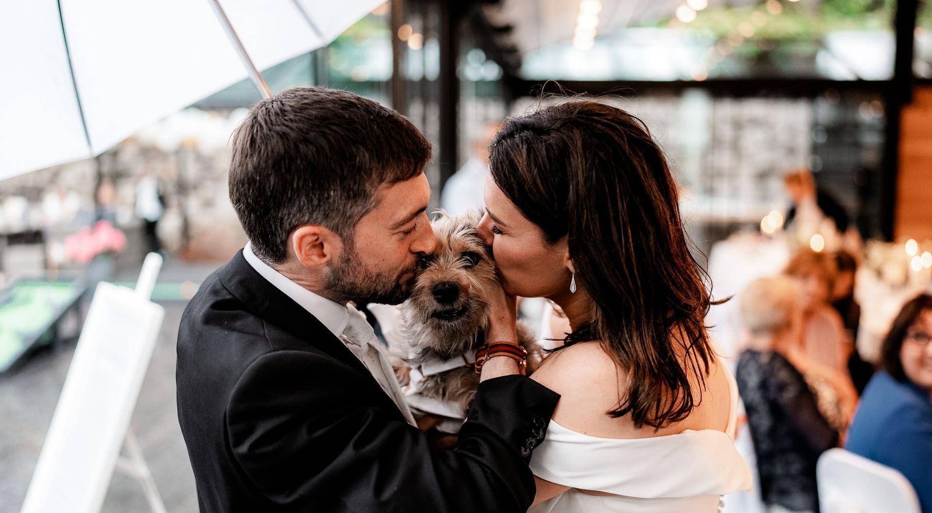 Couple kissing a small dog at a wedding ceremony, with guests blurred in the background.