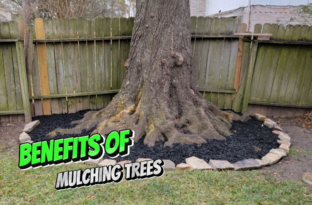 Benefits of Mulching Your Trees in Spring, TX Texas Tree Care