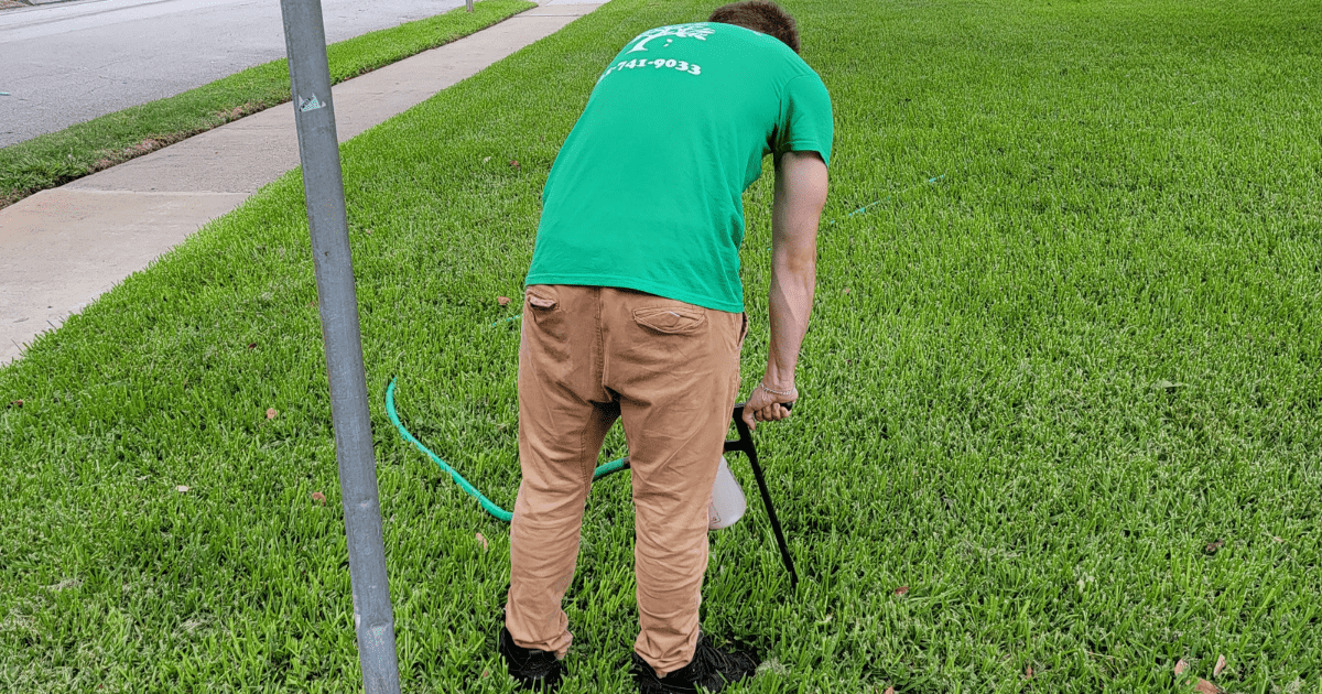 Tree Service Spring TX - Our Work | Texas Tree Care