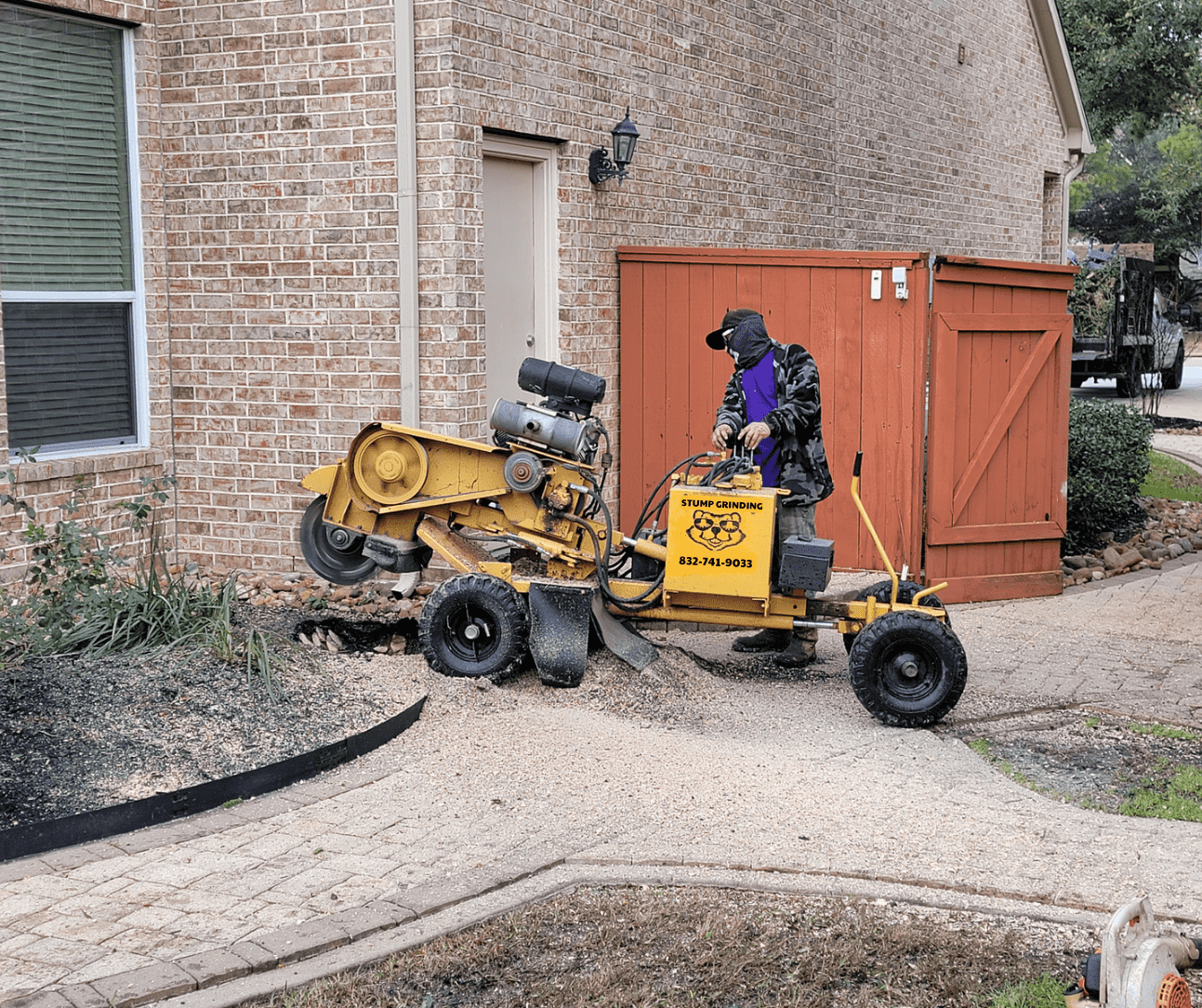 Tree Service Spring TX - Our Work | Texas Tree Care