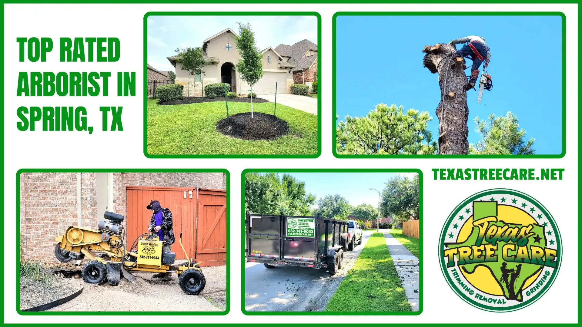 Arborist Spring TX - Expert Tree Care, Trimming & Removal