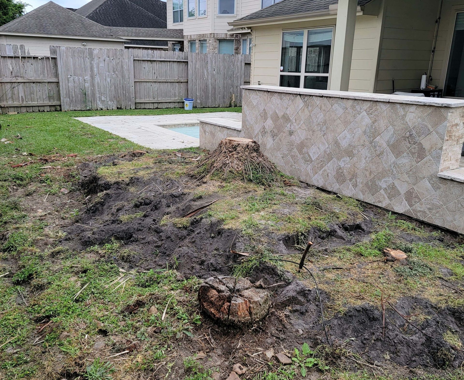 Stump Grinding Spring TX | Texas Tree Care