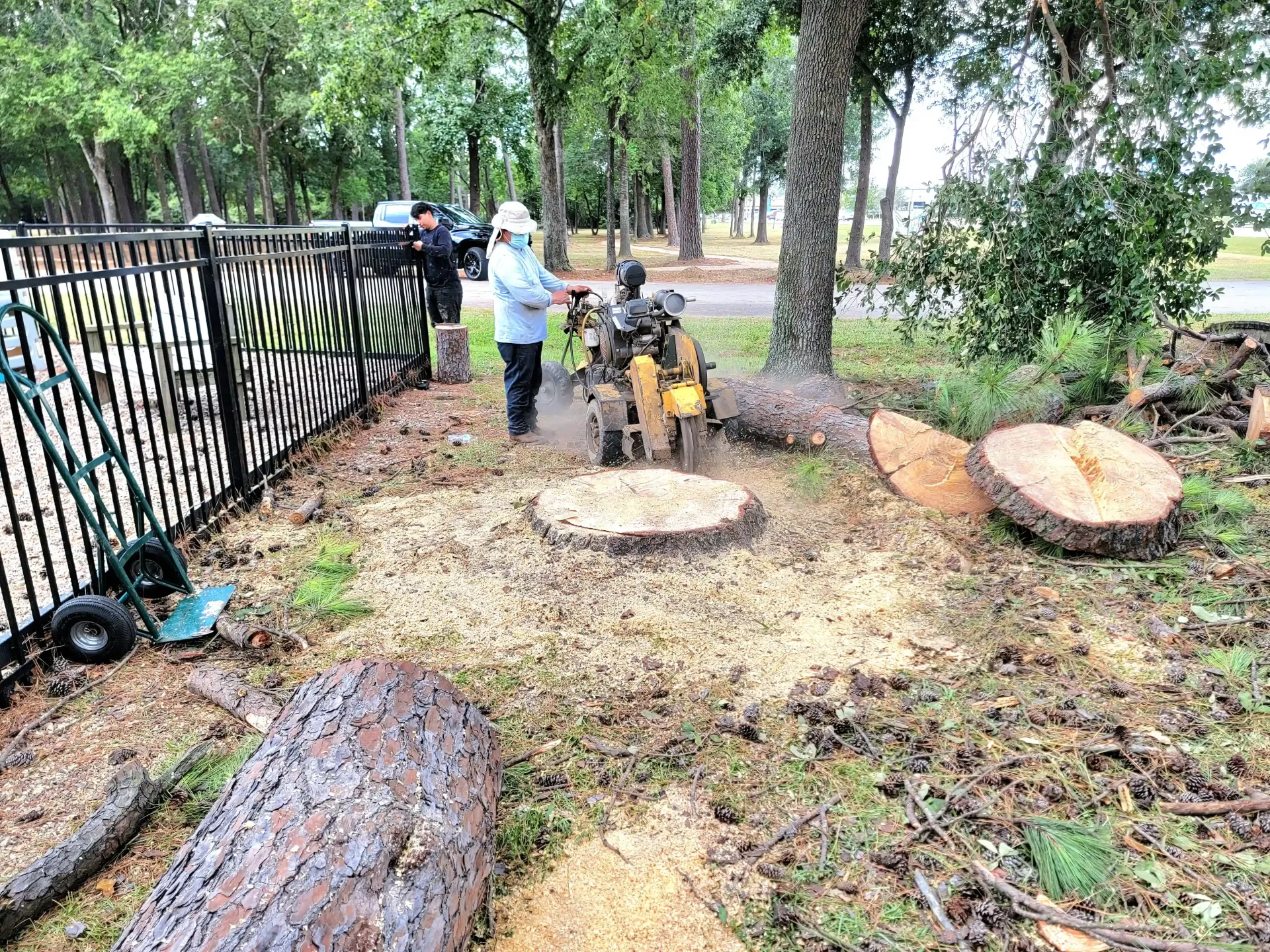 Commercial Tree Removal - Resurrection Lutheran Church in Spring TX | Texas Tree Care