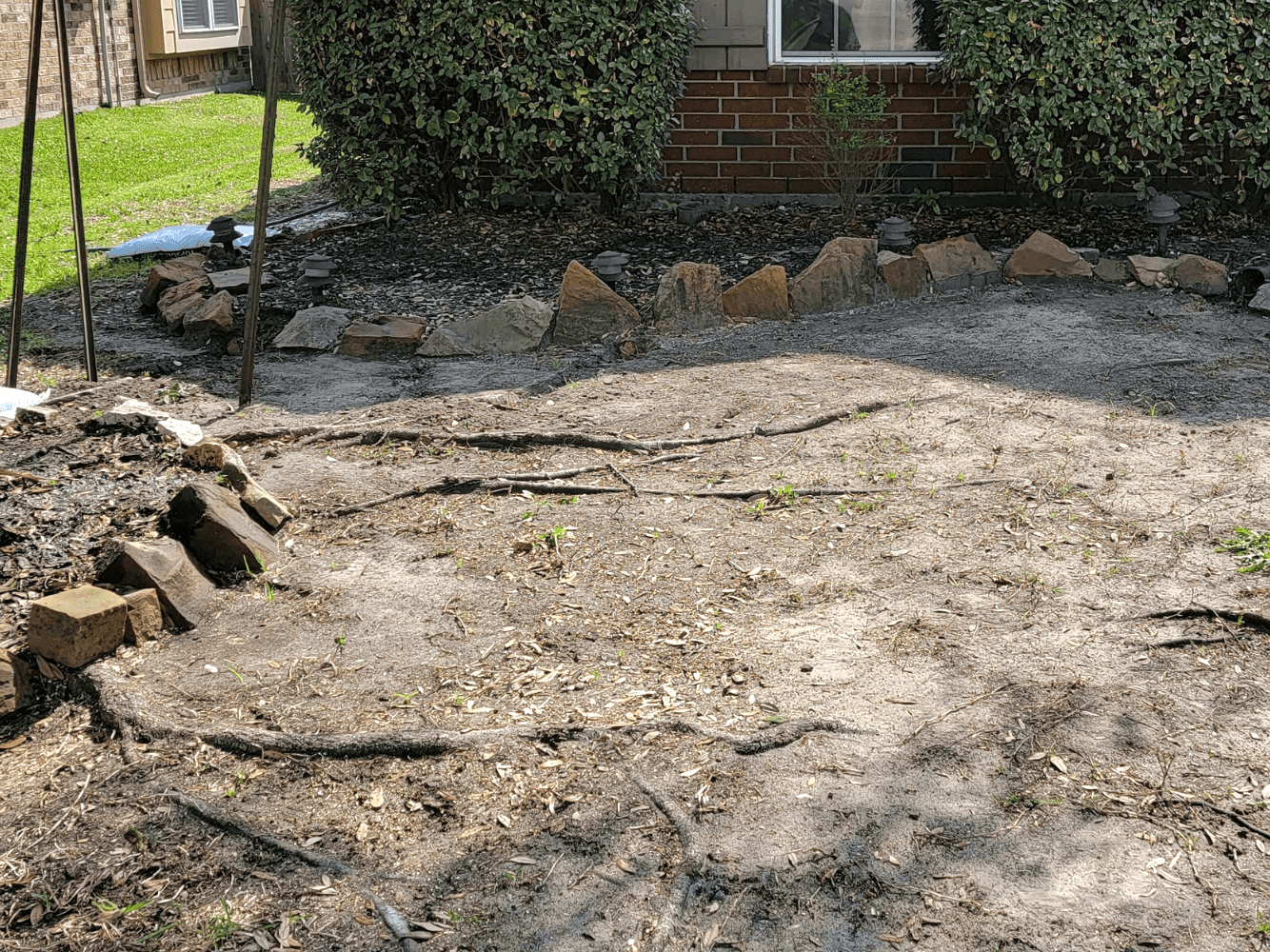 Deep Root Feeding | Houston TX | Texas Tree Care