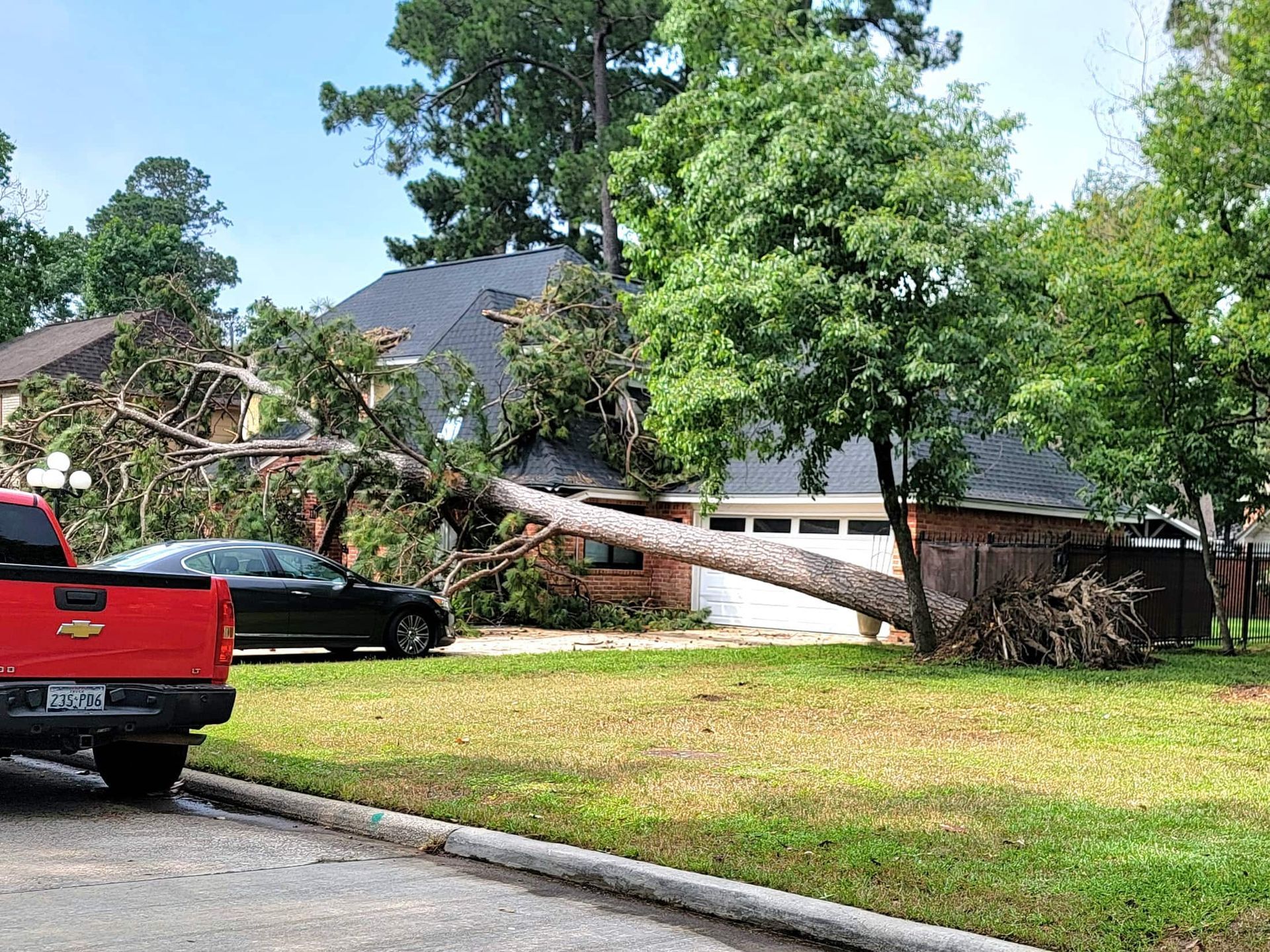 Fall Tree During Houston Storms Fall Tree Removal | Tree Removal Houston