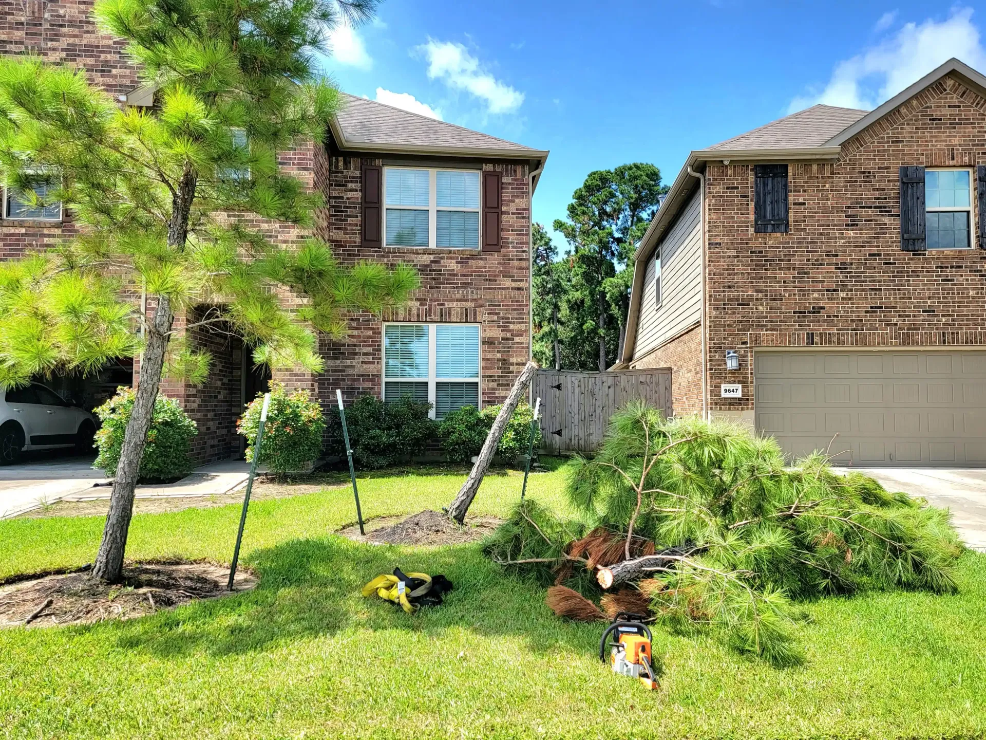 Fallen Pine Tree Fallen Tree Removal in Spring TX - Emergency Tree Removal