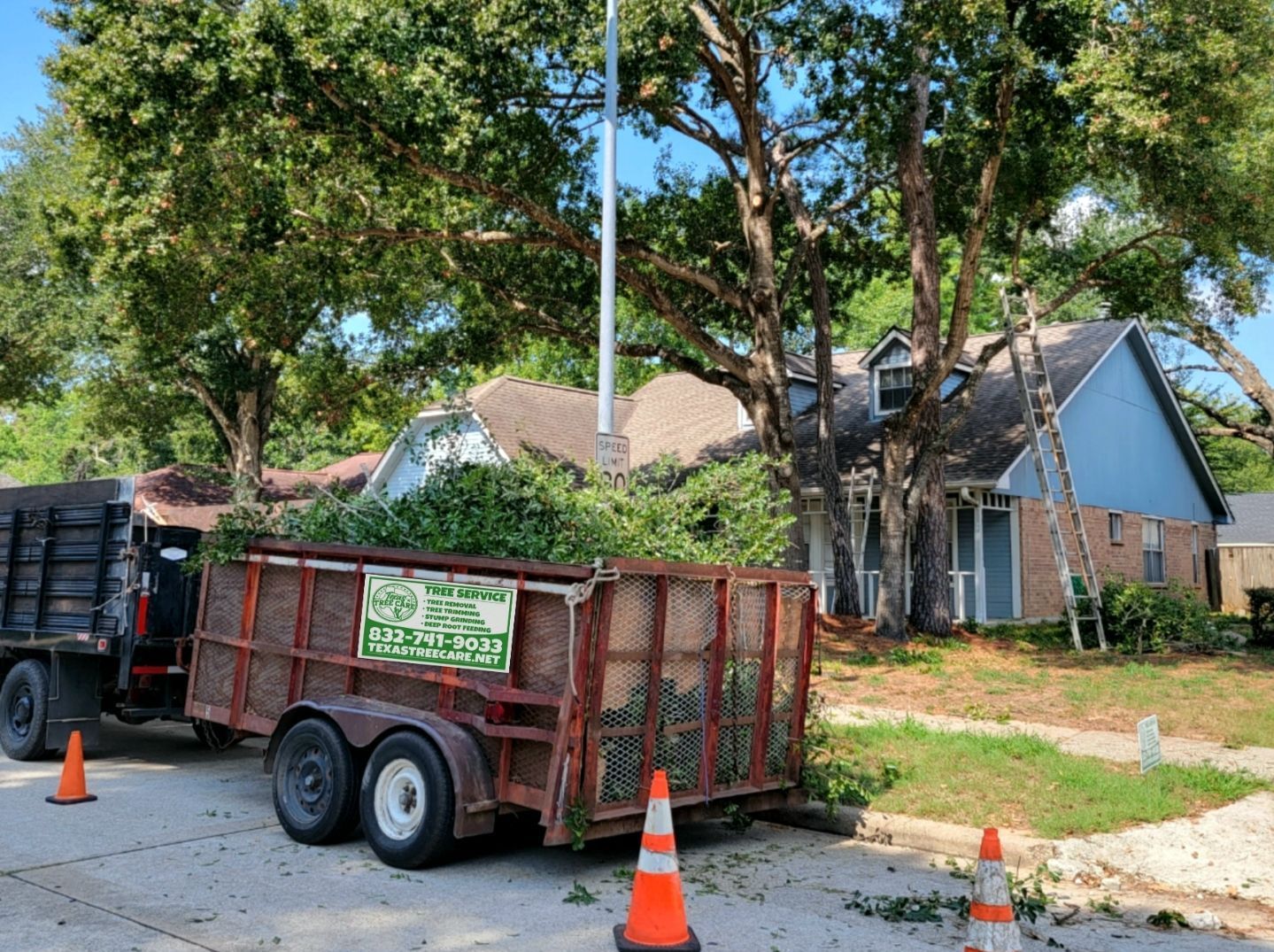 Tree Service Spring TX-Houston | Texas Tree Care