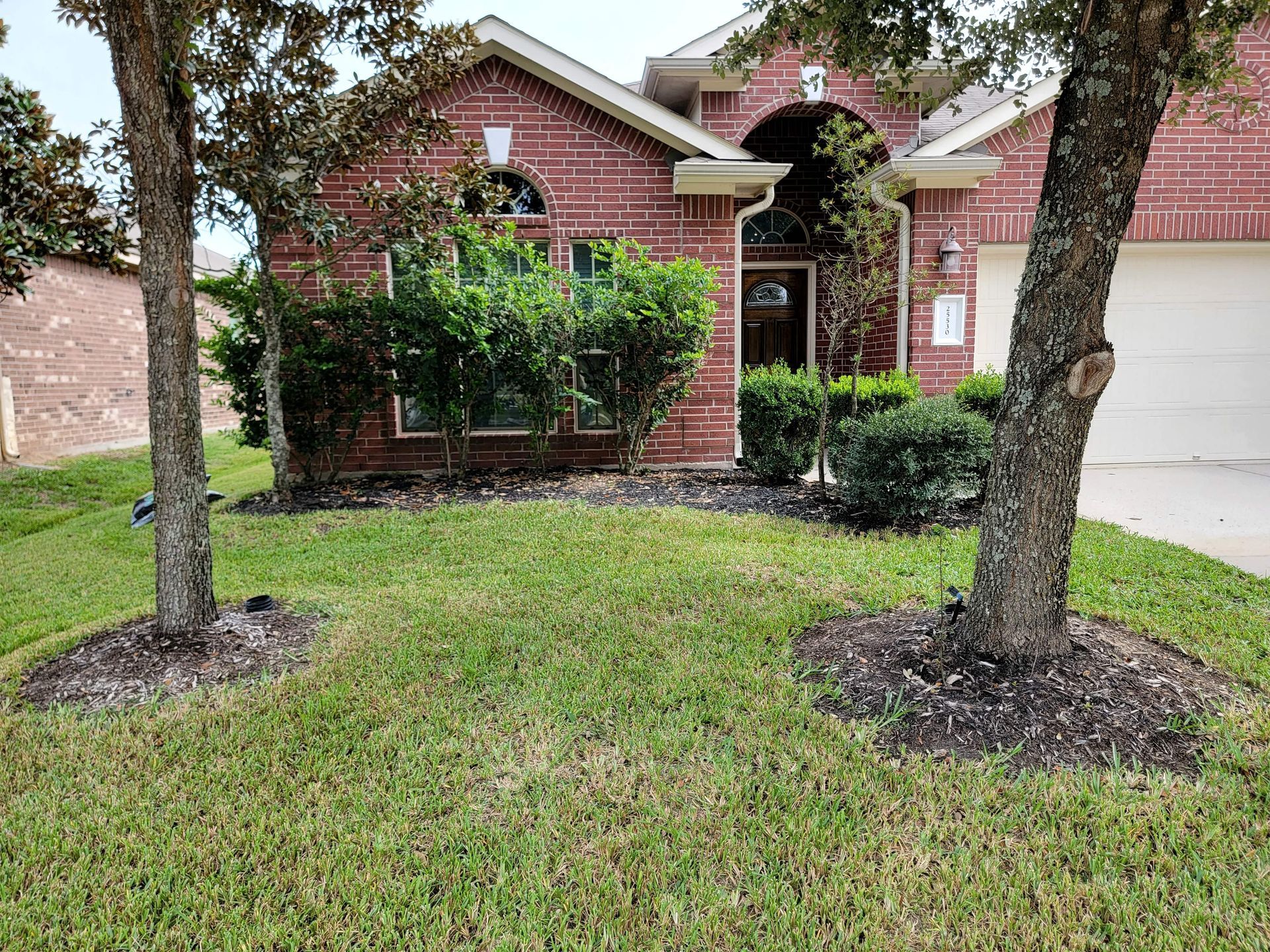 Before Tree Mulching | Spring-Houston | Texas Tree Care