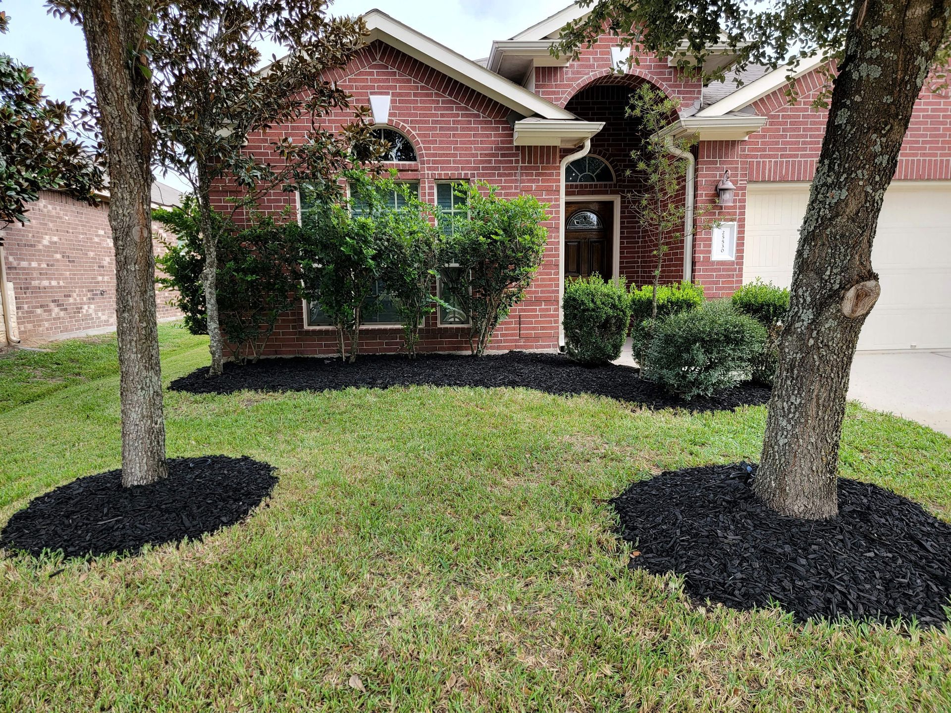 After Tree Mulching | Spring-Houston | Texas Tree Care