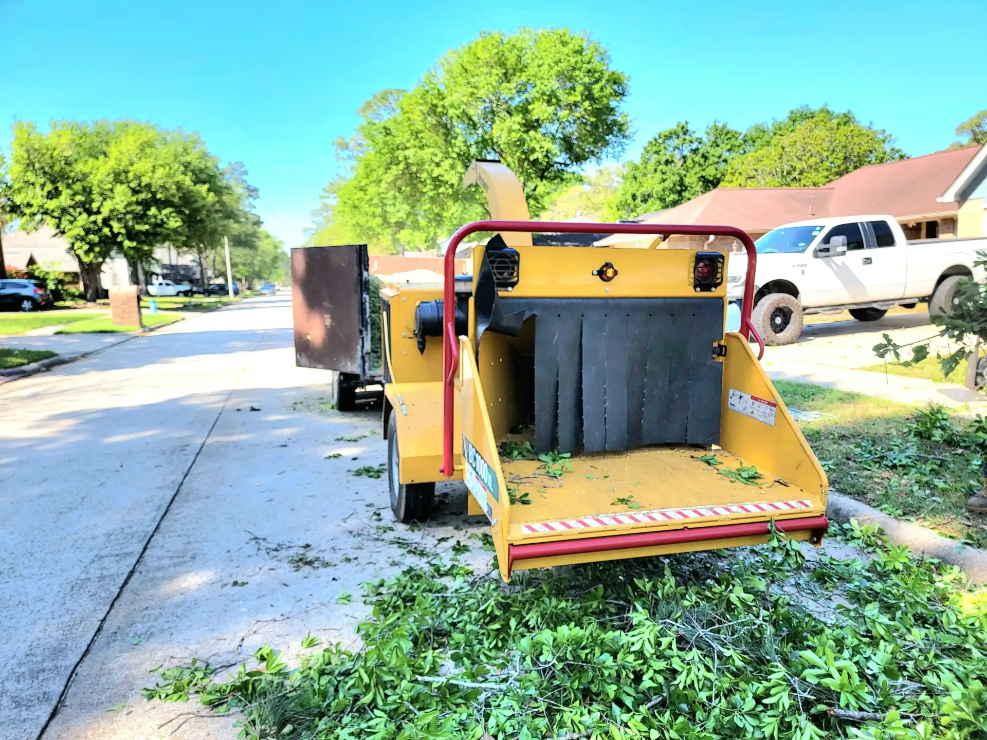 Spring TX Tree Removal | Texas Tree Care