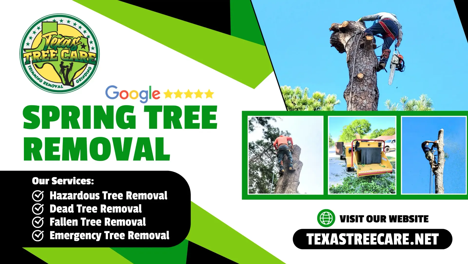 Spring Tree Removal - Dead, Fallen, & Emergency Tree Removal Services