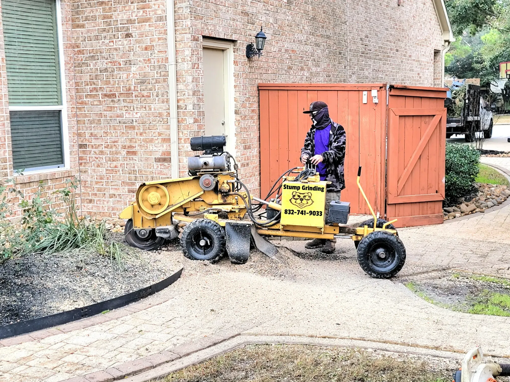 Root Removal & Stump Grinding Jersey Village TX | Texas Tree Care