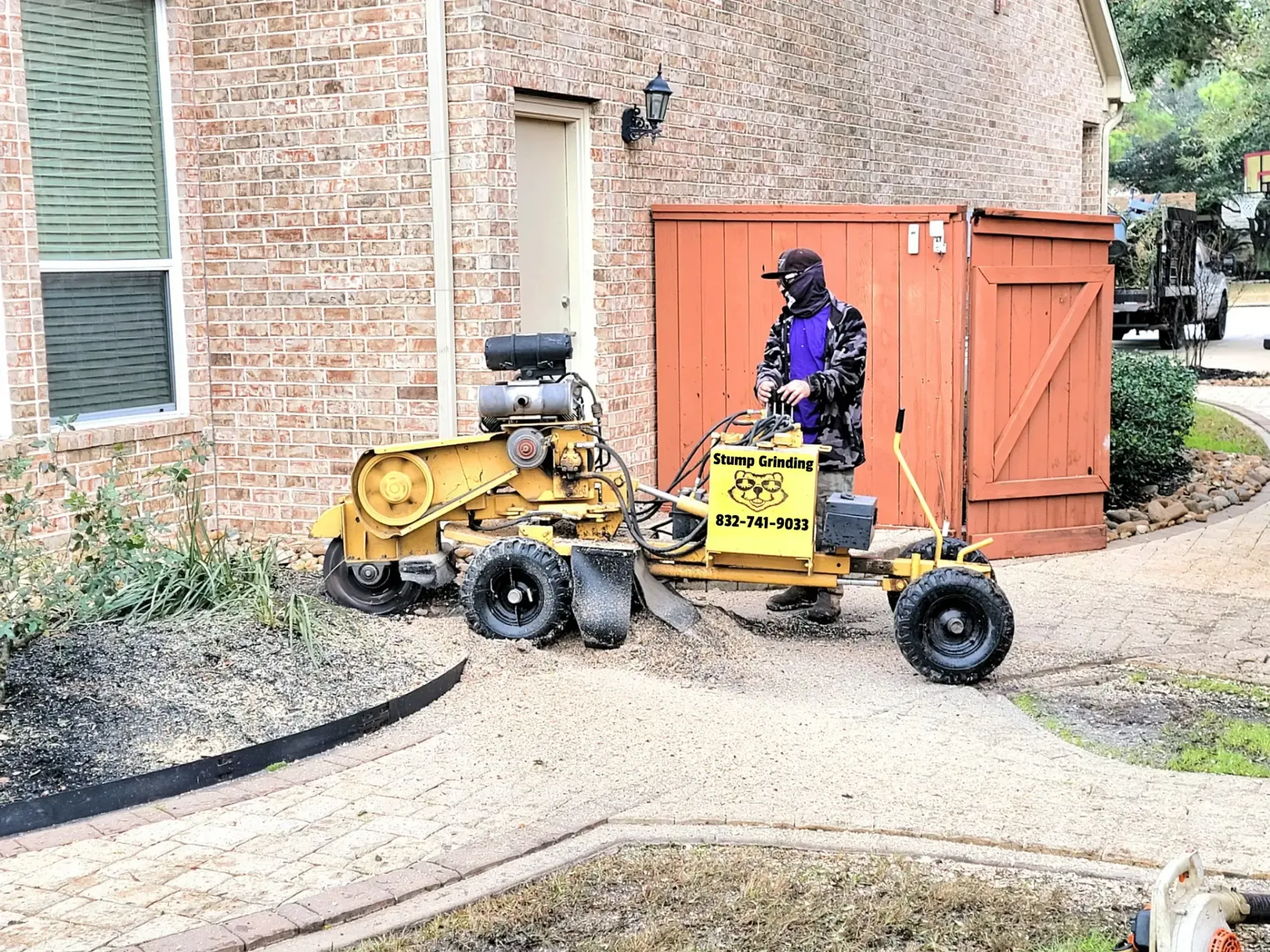 Stump Grinding Service in Spring TX | Texas Tree Care