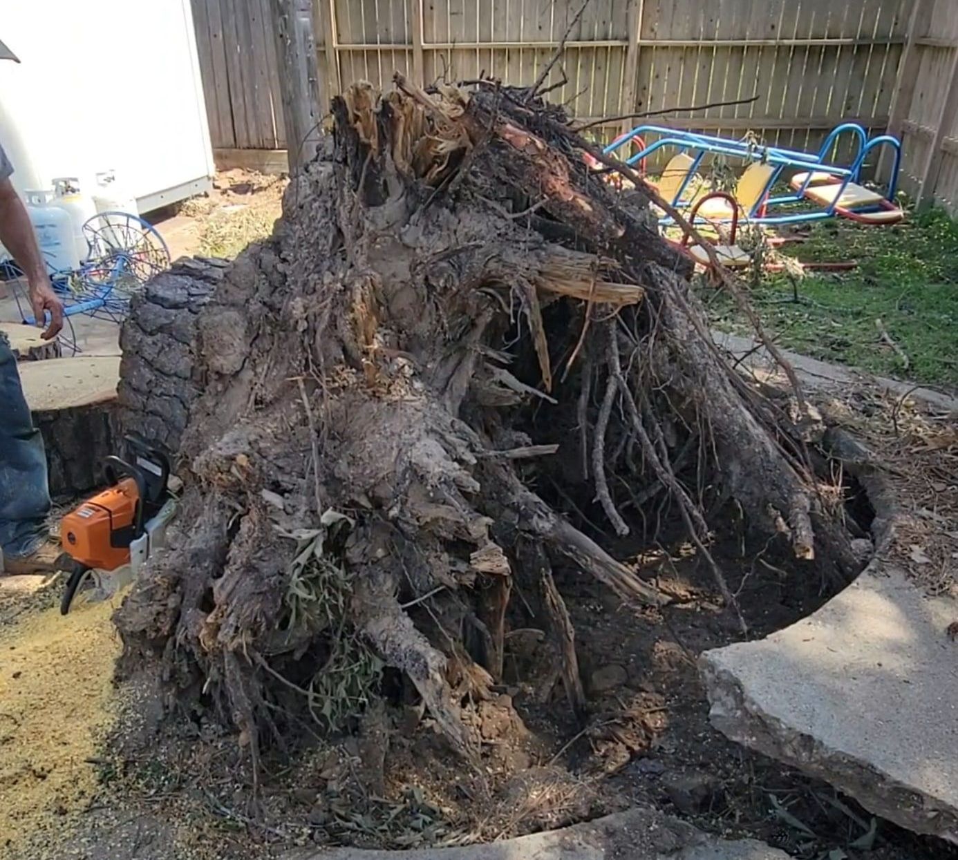 Stump Grinding Vs Stump Removal | Texas Tree Care Blog