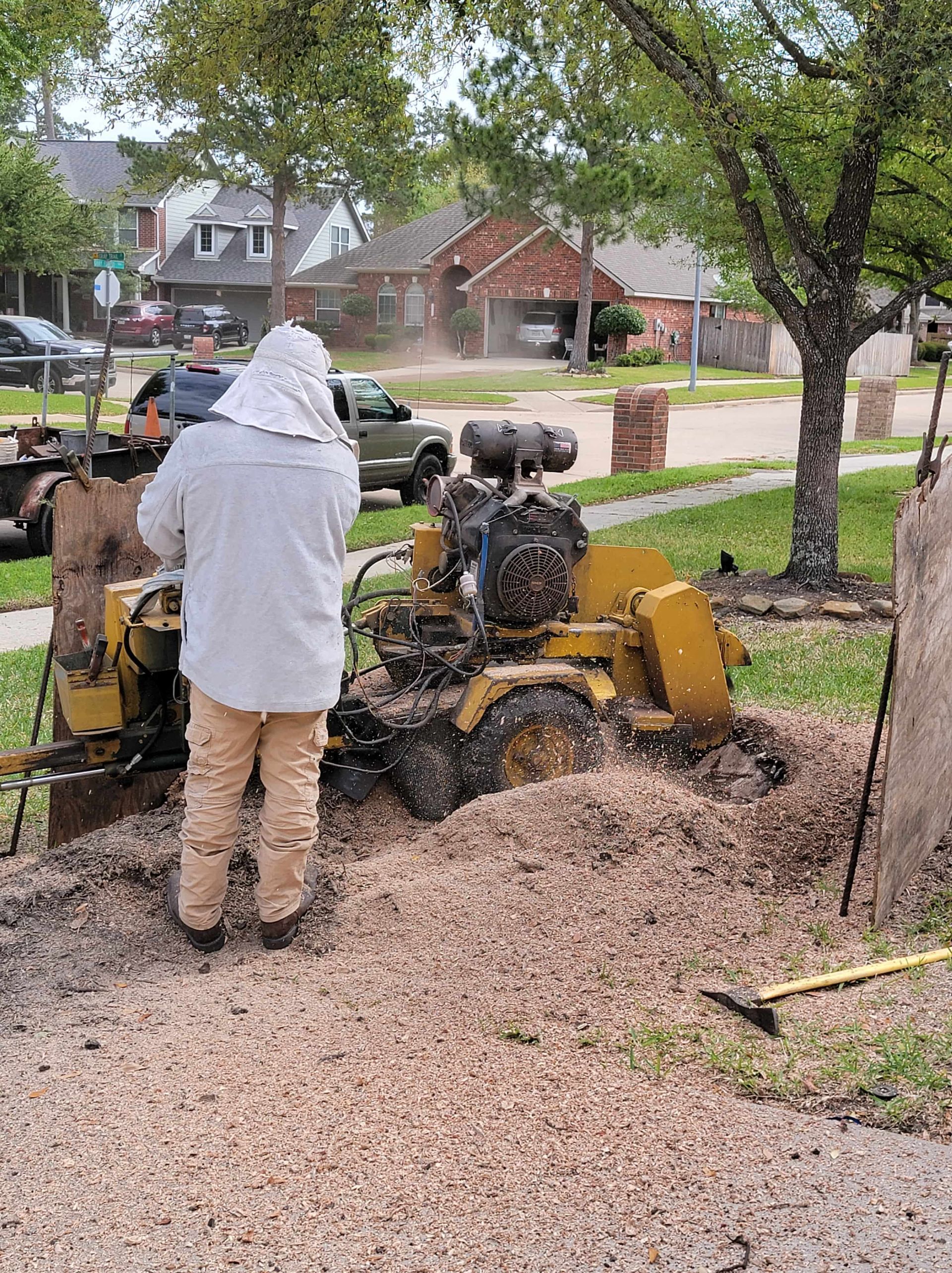 Stump Grinding Spring TX | Texas Tree Care