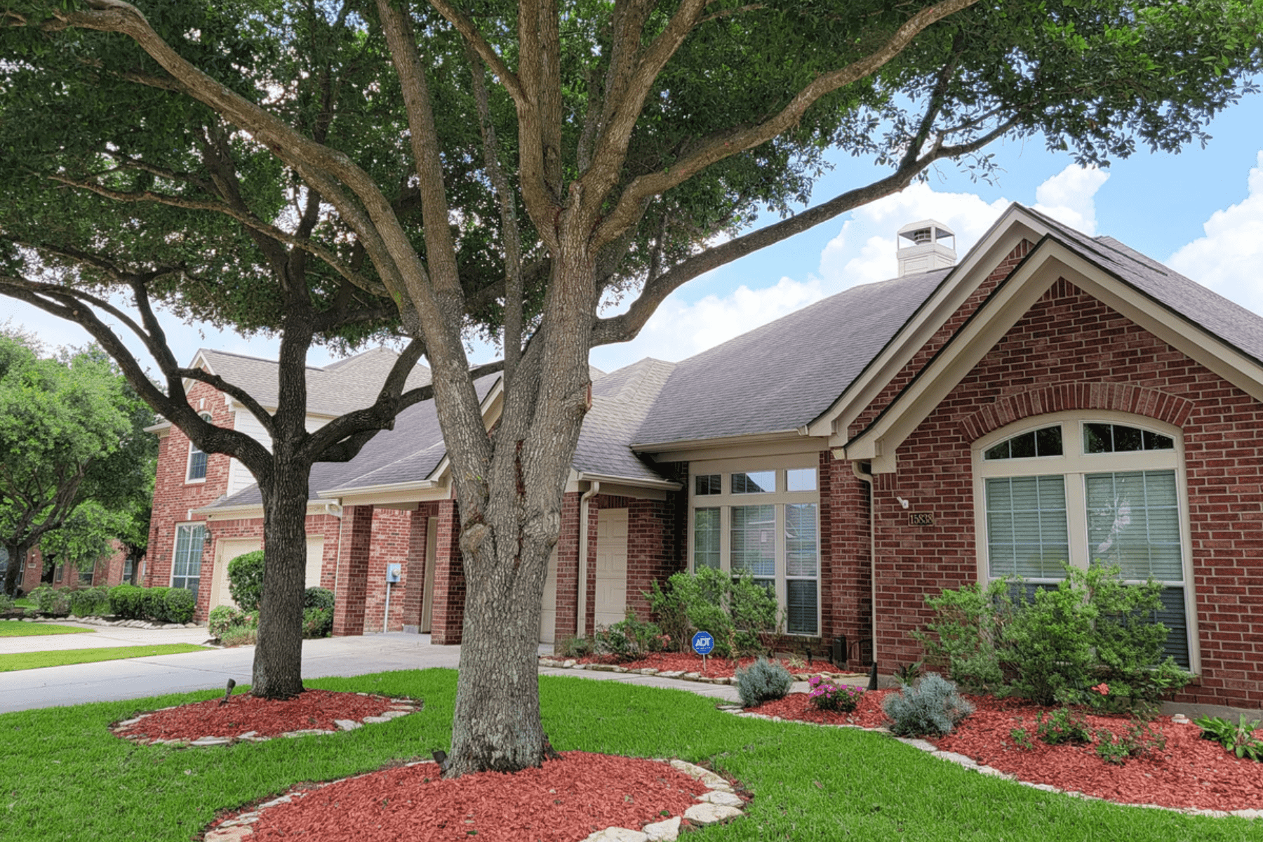 The importance of regular tree trimming by Texas Tree Care Blog