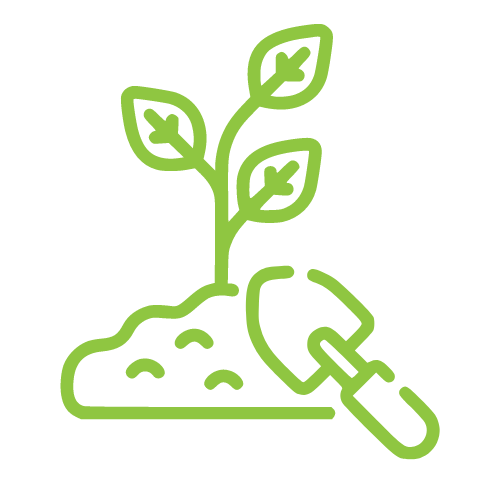 Tree Planting Spring TX | Texas Tree Care