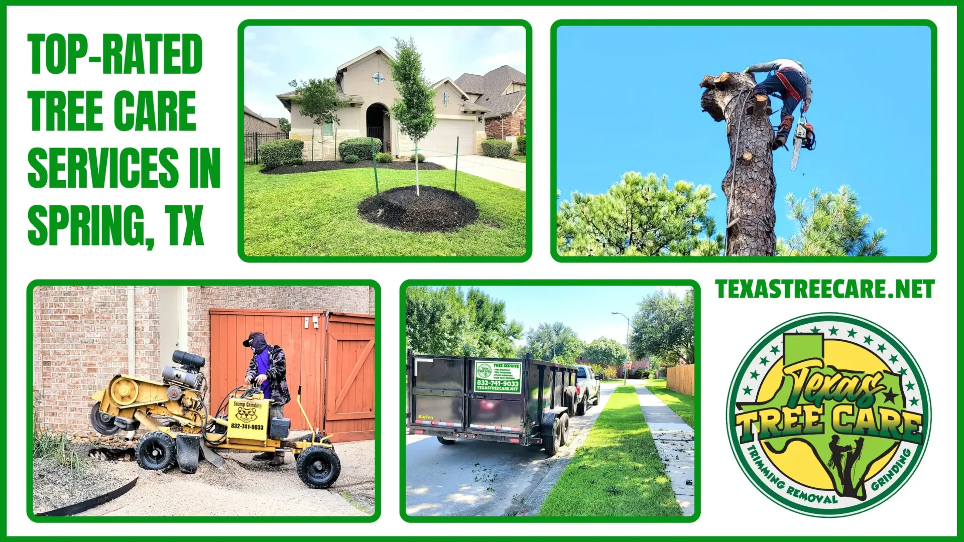 Tree Care Services in Spring TX | Trimming, Removal, Planting Etc