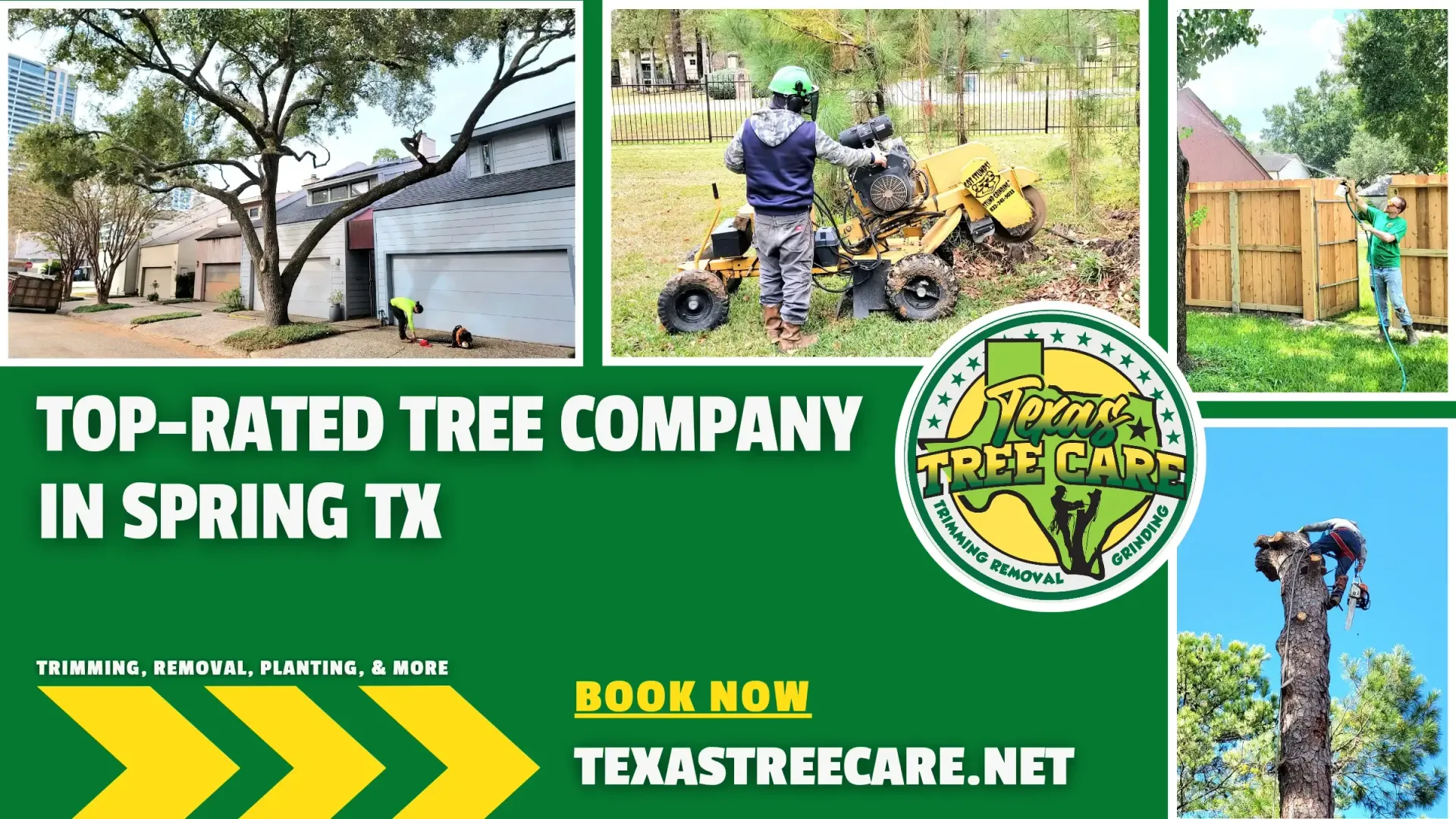 Tree Company Spring TX | Texas Tree Care