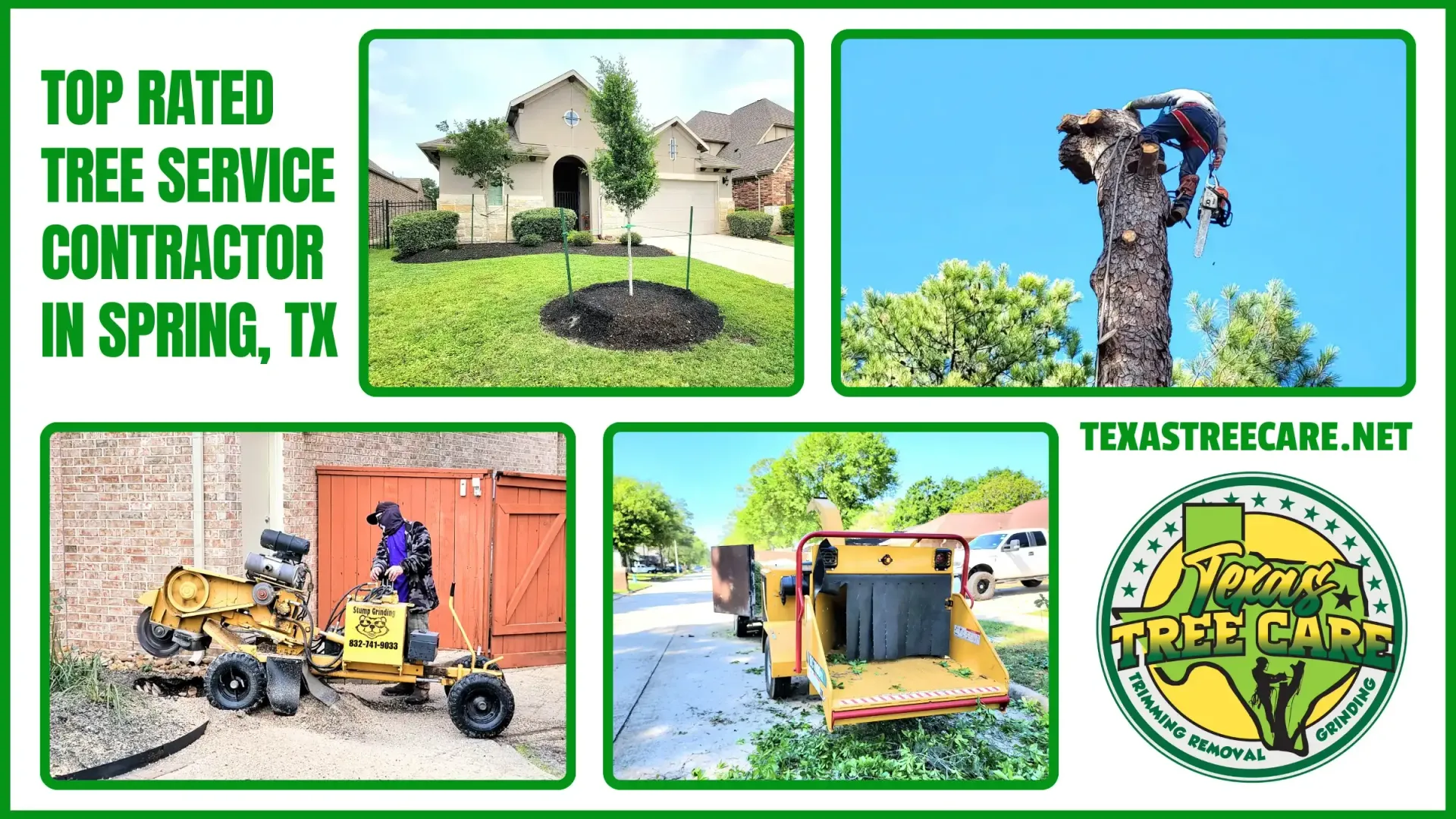 Tree Contractor Spring TX - Trimming, Removal, Planting | Texas Tree Care