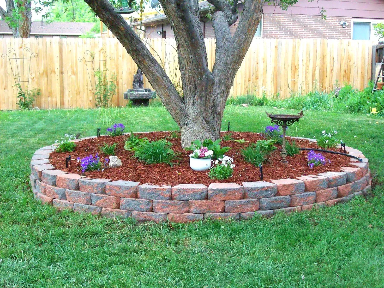 Tree Mulching Spring TX | Texas Tree Care