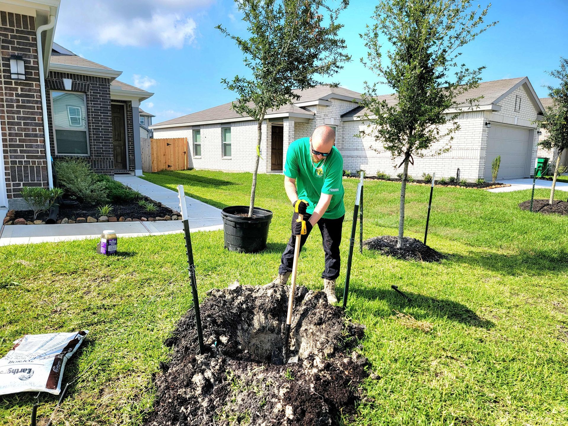 Removing a Small Tree Small Tree Removal - Texas Tree Care