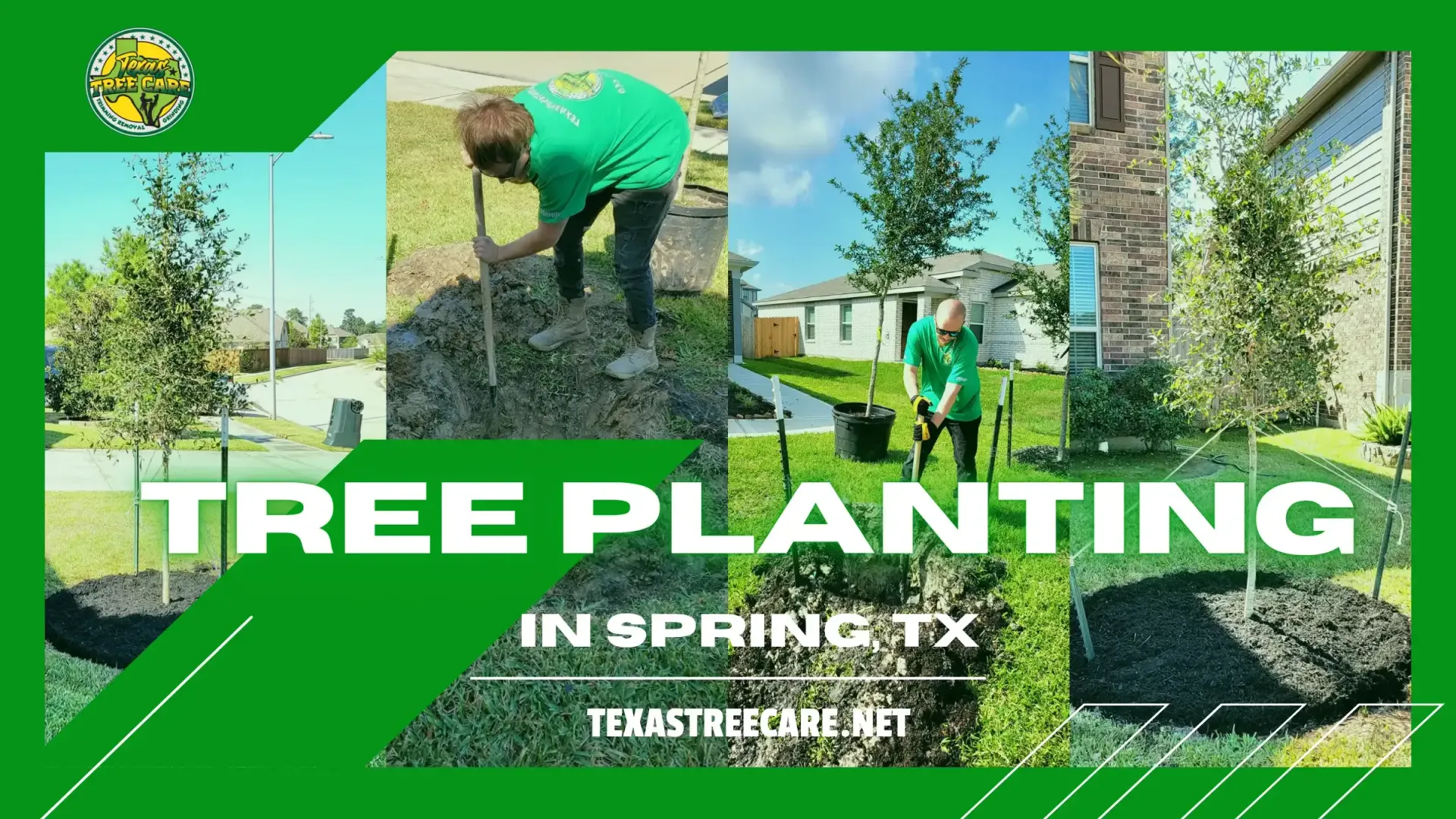 Fallen Tree Removal & Tree Planting Services in Spring, TX | Texas Tree Care