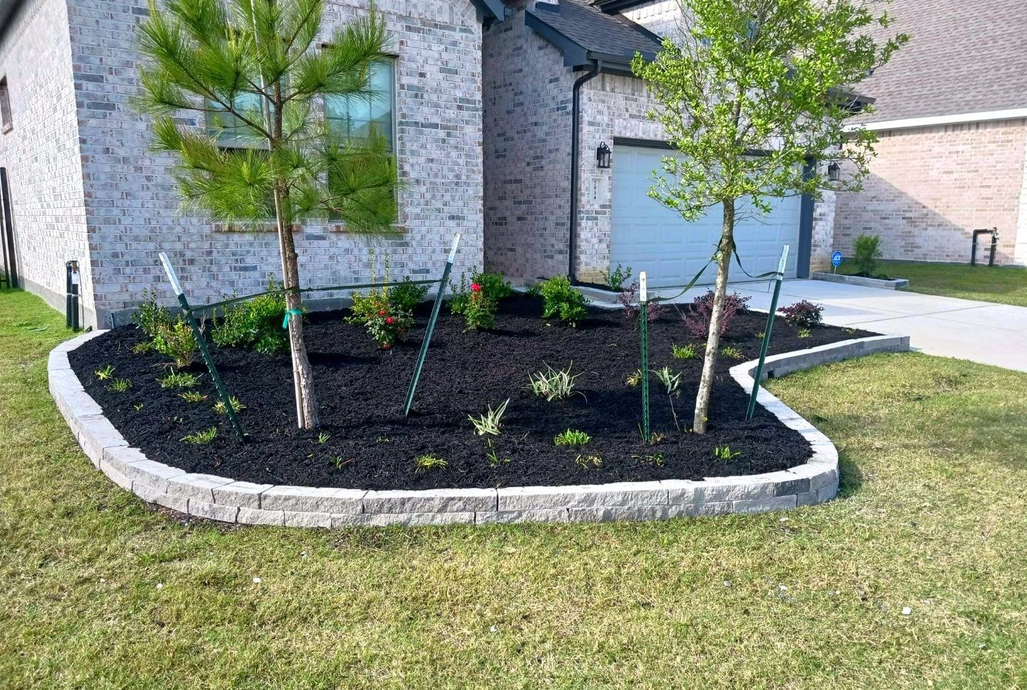 Tree Planting Service Spring TX | Texas Tree Care